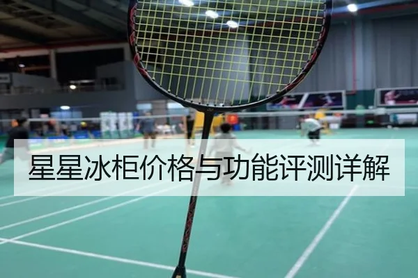 星星冰柜价格与功能评测详解
