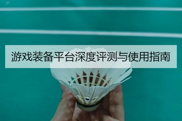 游戏装备平台深度评测与使用指南